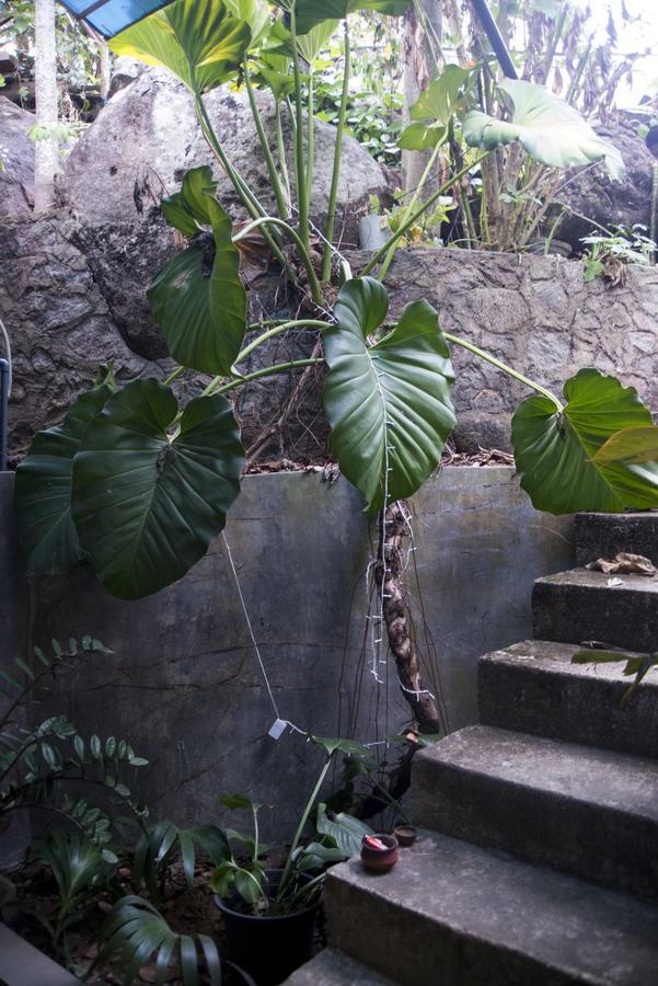 Butterfly Jewel Unawatuna Exterior foto
